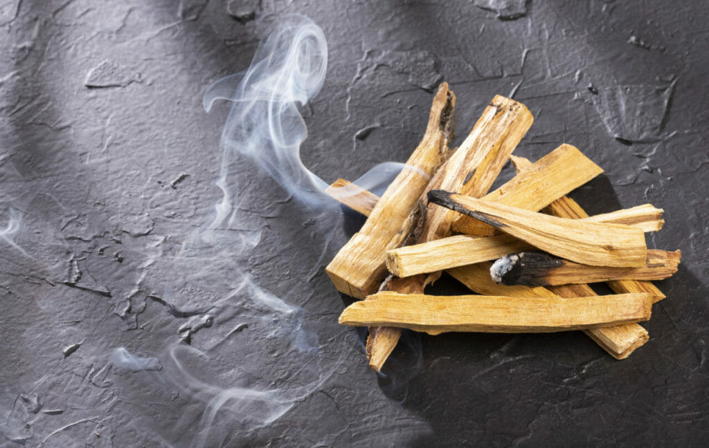 Palo Santo At Surrender To Happiness