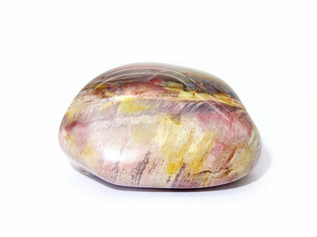 petrified wood tumblestone