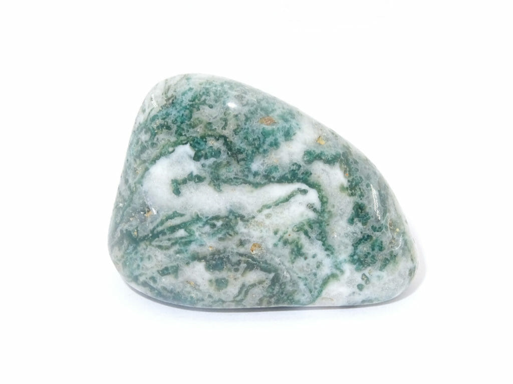tree agate tumblestone