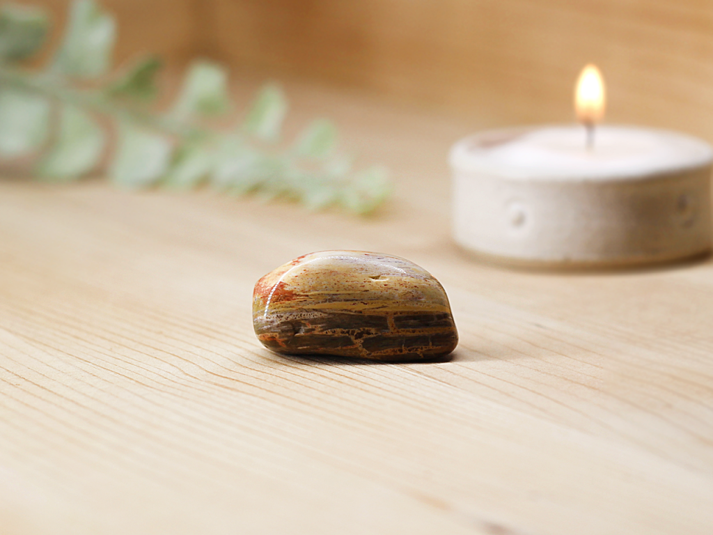 Petrified Wood Tumblestone At Surrender To Happiness