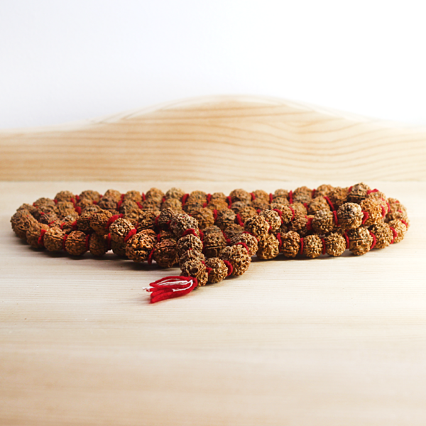 Shivas Tears Mala Necklace