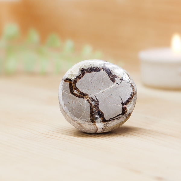 Serpentine Dragon Egg At Surrender To Happiness