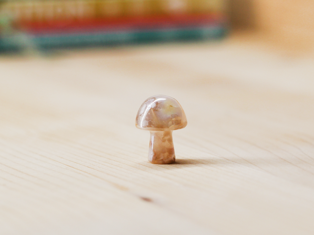 Agate Aura Toadstool At Surrender To Happiness
