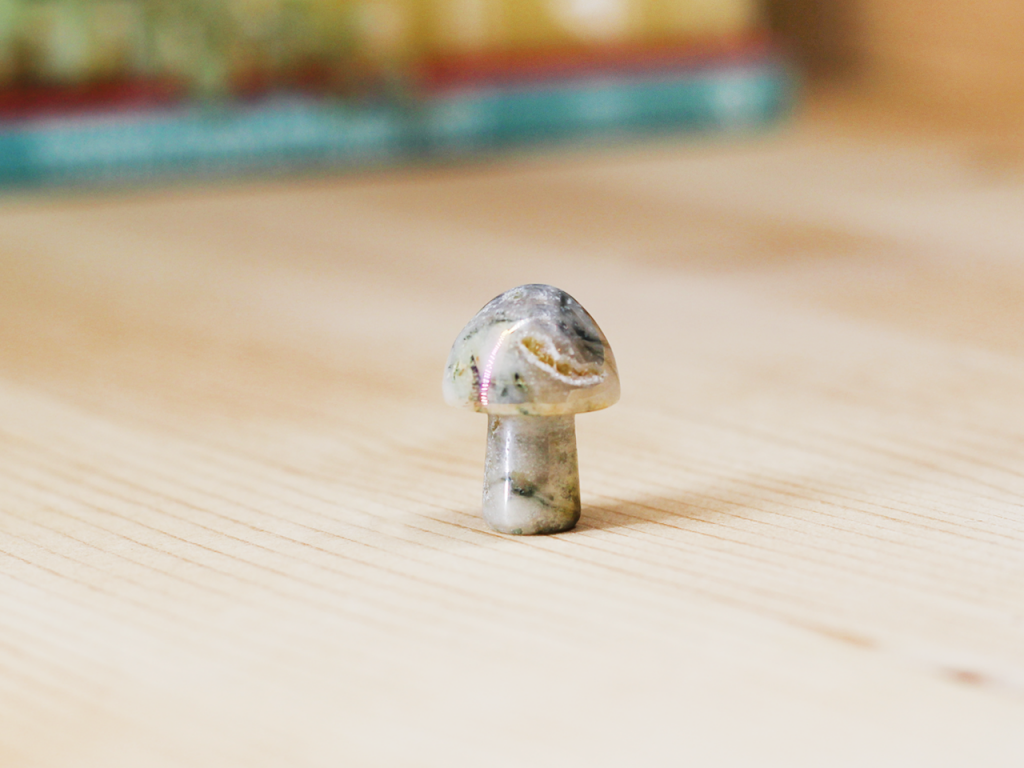 Moss Agate Aura Toadstool At Surrender To Happiness