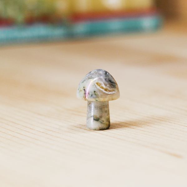 Moss Agate Aura Toadstool At Surrender To Happiness