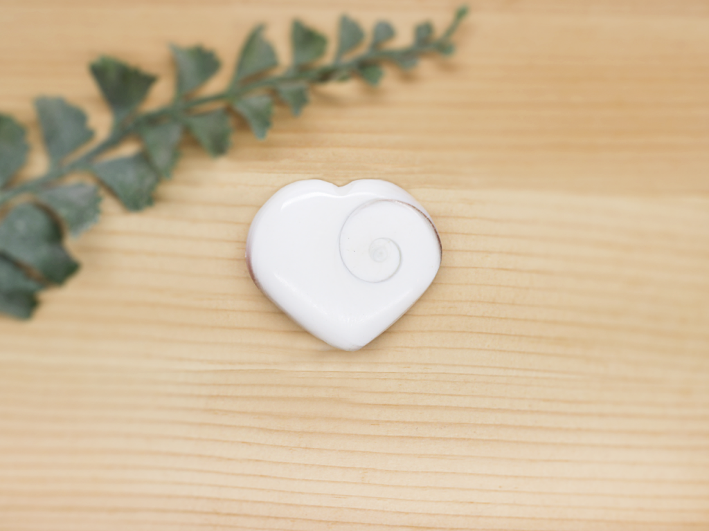 Shiva Shell Heart At Surrender To Happiness