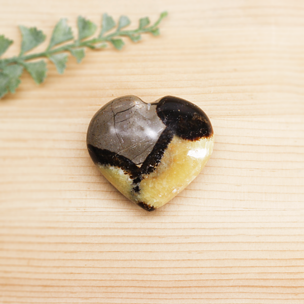 Septarian At Surrender To Happiness