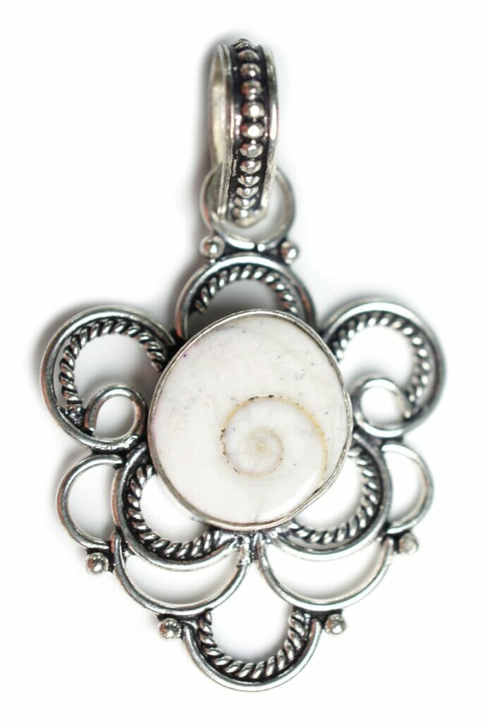 shiva shell